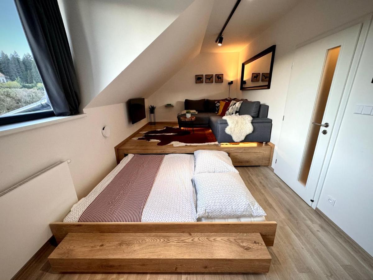 Apartment Horsky